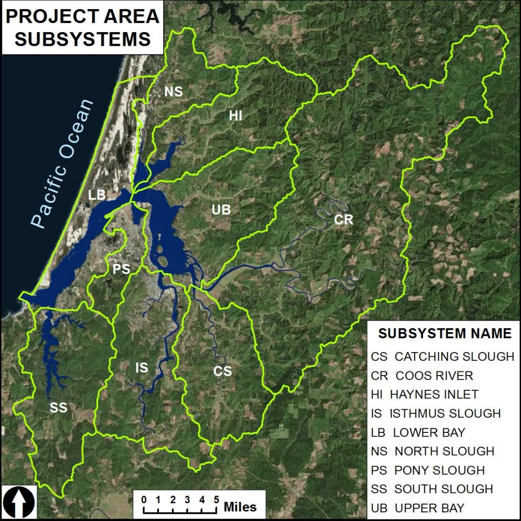 The “project area” is defined by a network of nine environmental “subsystems,” which collectively comprise the lower Coos watershed.