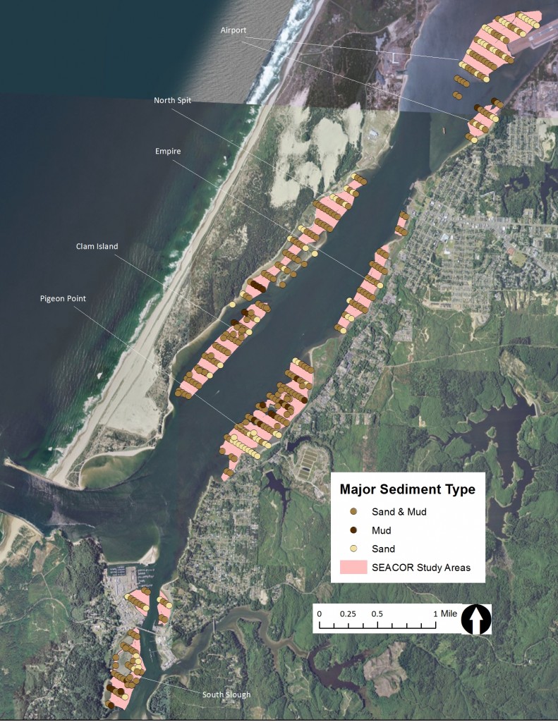 Figure 10. Major sediment type in the SEACOR study areas. Data: ODFW 2014. 