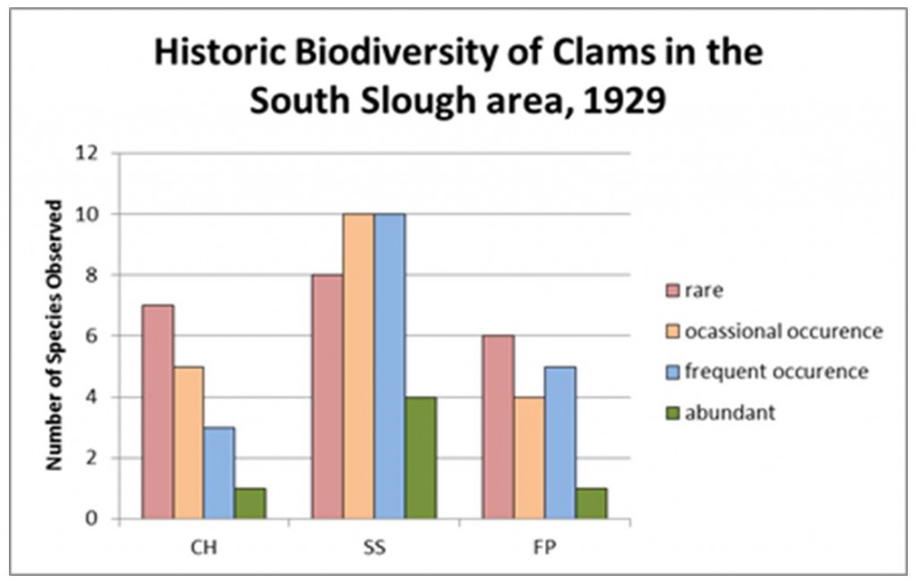 Figure 15. Relative diversity of clams in three inventory subregions. CH = Coos Head SS = South Slough FP = Fossil Point Data: Yocom and Edge 1929.  