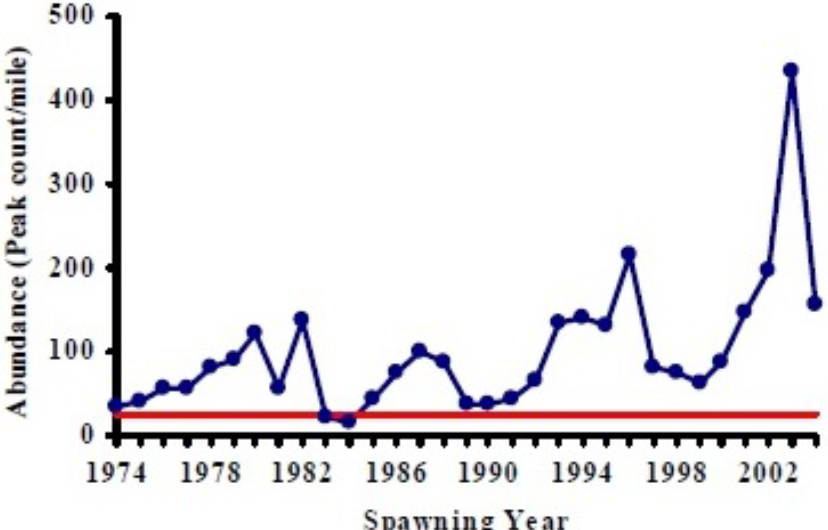 Figure 14. Historic abundance of adult fall Chinook salmon in the Coos River in number of observed fish (both live and dead) per mile at peak count. Benchmark necessary to pass ONFSR abundance criteria is highlighted in red. Graph: ODFW 2005a 