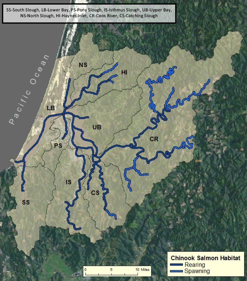 Figure 4.  Spatial extent of Chinook salmon. Data: ODFW 2013b 