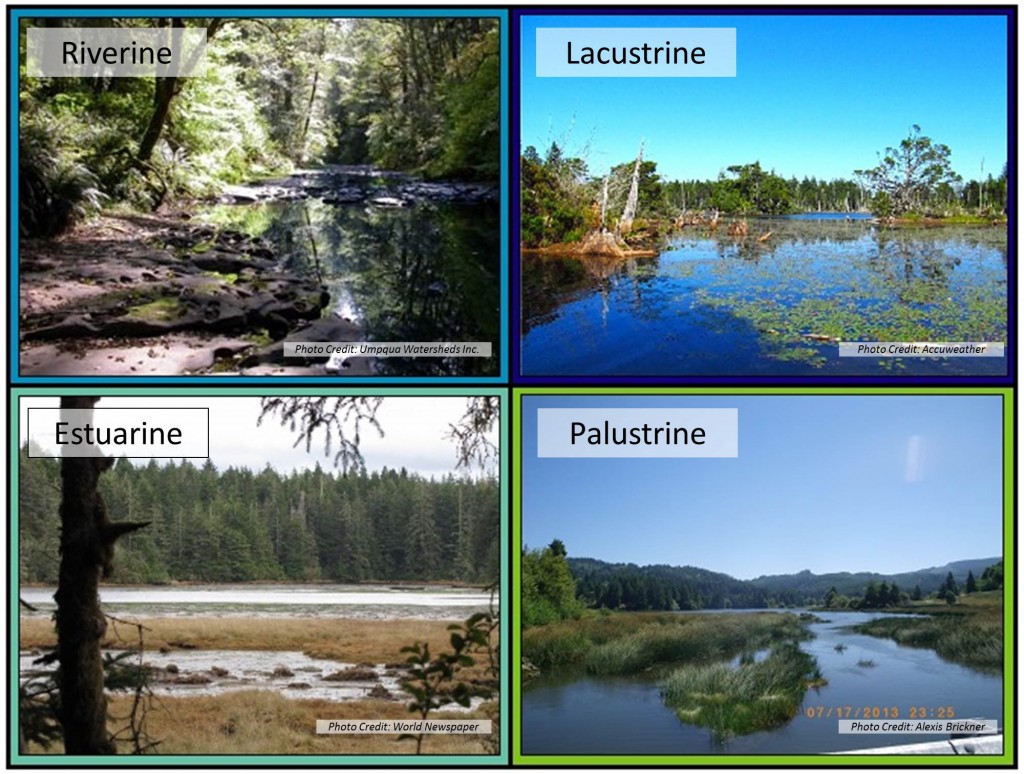 Figure 4. Examples of habitat representing four NWI Systems. See Figure 1 for distribution of Systems within project area and Table 2 for definitions. Top left: Millicoma River, Coos River Subsystem; Top right: Empire Lakes, Lower Bay Subsystem; Bottom left: Hidden Creek marsh, South Slough Subsystem; Bottom right: Matson Creek marsh, Catching Slough Subsystem. 