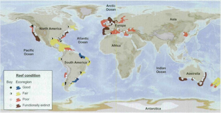 Figure 4. Condition of the world’s oyster reefs.  99% lost = functionally extinct. GRAPHIC: Beck et al. (2011)