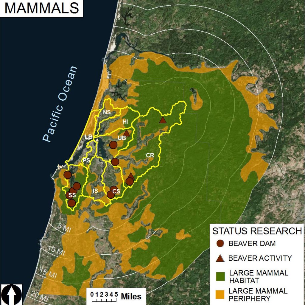 Figure 1. Distribution of mammal activity/habitat within the project area. Subsystems: CR- Coos River, CS- Catching Slough, HI- Haynes Inlet, IS- Isthmus Slough, LB- Lower Bay, NS- North Slough, PS- Pony Slough, SS- South Slough, UB- Upper Bay 