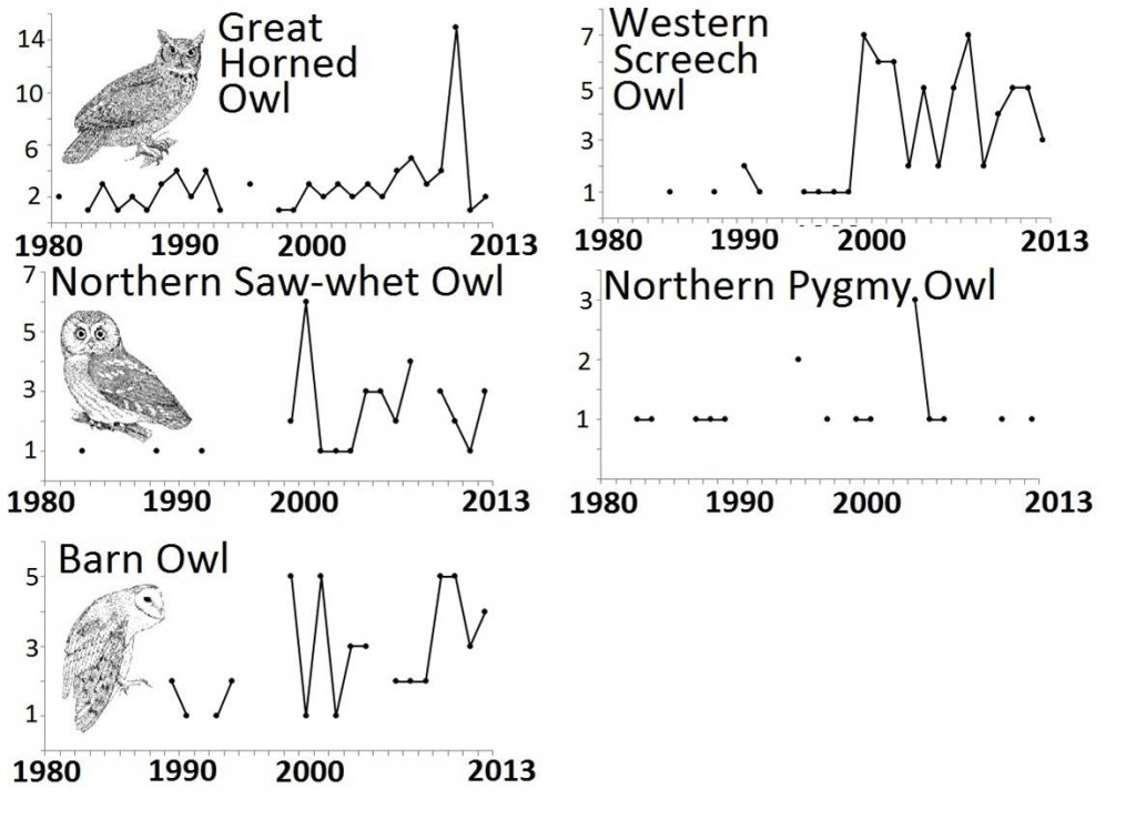 Figure 10. Abundance trends (raw CBC count) for commonly sighted owl species in the Coos estuary. Data: Audubon 2014, Rodenkirk 2012; Bird Sketches: Csuti et al. 1997