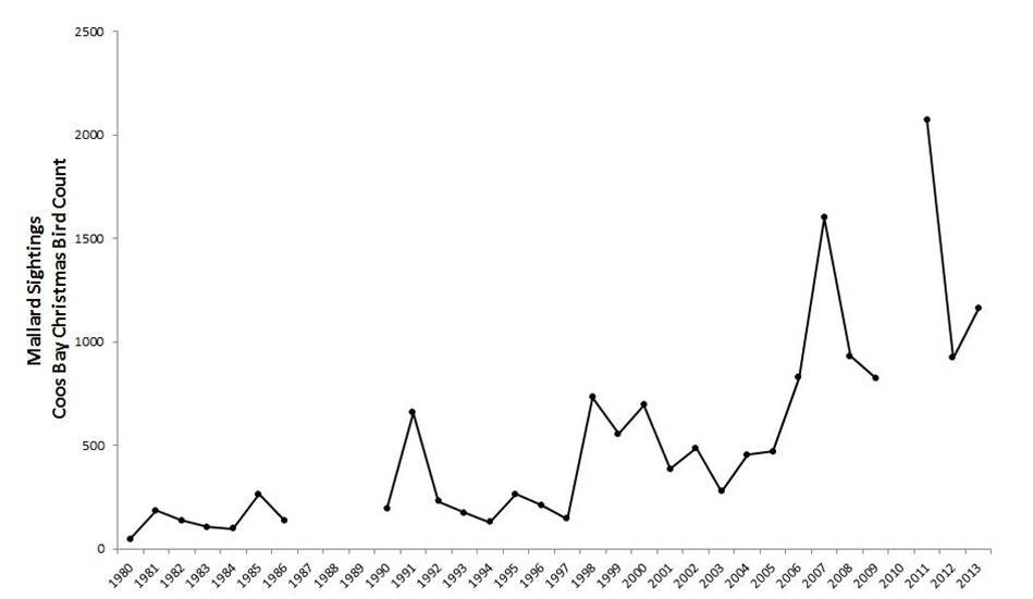Figure 11. Mallard abundance in the Coos estuary. Data gaps in CBC data exist for years during which the Count was not conducted (2010) or not reported (1987-89).  Data: Audubon 2014, Rodenkirk 2012; Sketch: Csuti et al. 1997