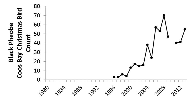 Figure 12. Coos Bay CBC data indicate that local midwinter black phoebe abundance has increased, with consistent sightings beginning in 1996 and increasing since then. Data gaps occur during years in which the CBC was not conducted (2010) or not reported (1987-89). Data: Audubon 2014, Rodenkirk 2012; Bird Sketch: Csuti et al. 1997