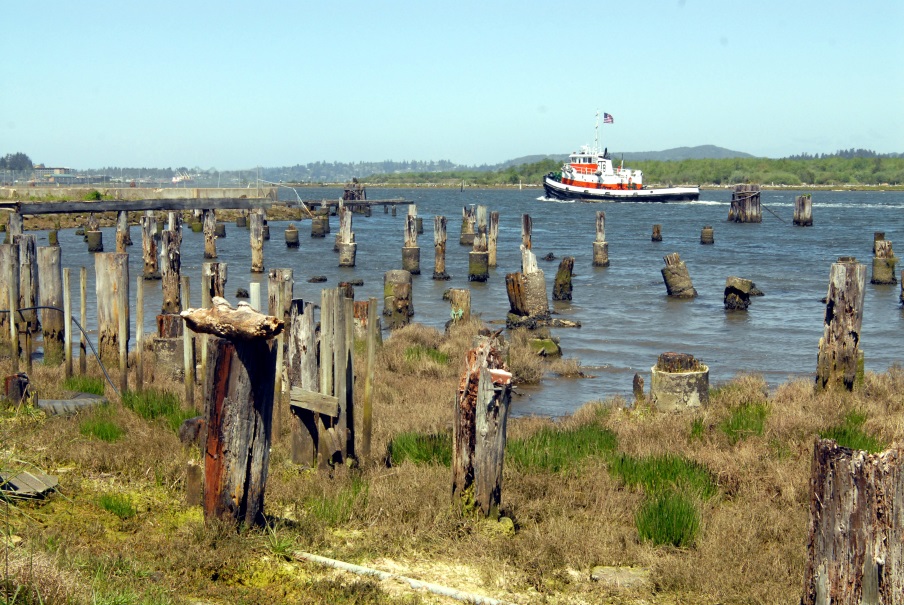 Coos Bay waterfront looking south. Showing decaying historical dock infrastructure and marsh vegetation in foreground, with new Coos Historical and Maritime Museum in upper right corner. Source: South Slough NERR