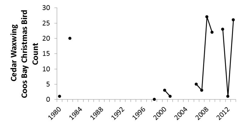 Figure 14. Cedar waxwings have been sighted in the Coos estuary during the CBC since 2006. Sightings have often occurred in greater numbers in recent years than they have in the past. Data gaps occur during years in which the CBC was not conducted (2010) or not reported (1987-89). Data: Audubon 2014, Rodenkirk 2012; Bird Sketch: Csuti et al. 1997