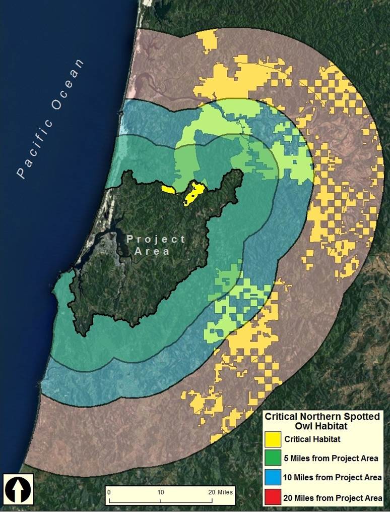 Figure 14. Critical northern spotted owl habitat (yellow) within the lower Coos watershed (Project Area) and immediately associated uplands ( greater than 20 miles from project area boundary. Data: USFWS 2012