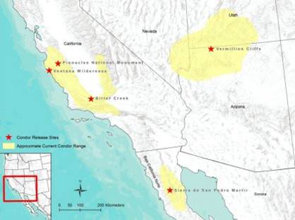 Figure 15. California condor range (yellow) and active release sites (red stars) Figure and Caption: USFWS 2013c