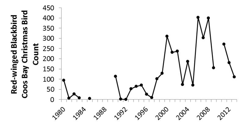 Figure 16. Red-winged blackbirds continue to be abundant in the Coos estuary. Midwinter sightings have become more common, suggesting that the species may be increasing abundant over time. Data gaps occur during years in which the CBC was not conducted (2010) or not reported (1987-89). Data: Audubon 2014, Rodenkirk 2012; Bird Sketch: Csuti et al. 1997