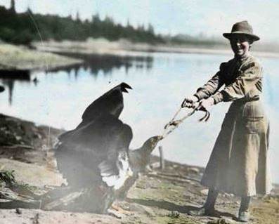 Figure 17. Irene Finley taunts a young condor known as “General” by playing a game of keep-away at her home along the banks of the Willamete River near Portland, Oregon circa 1906. Figure and Caption: D’Elia and Haig 2013