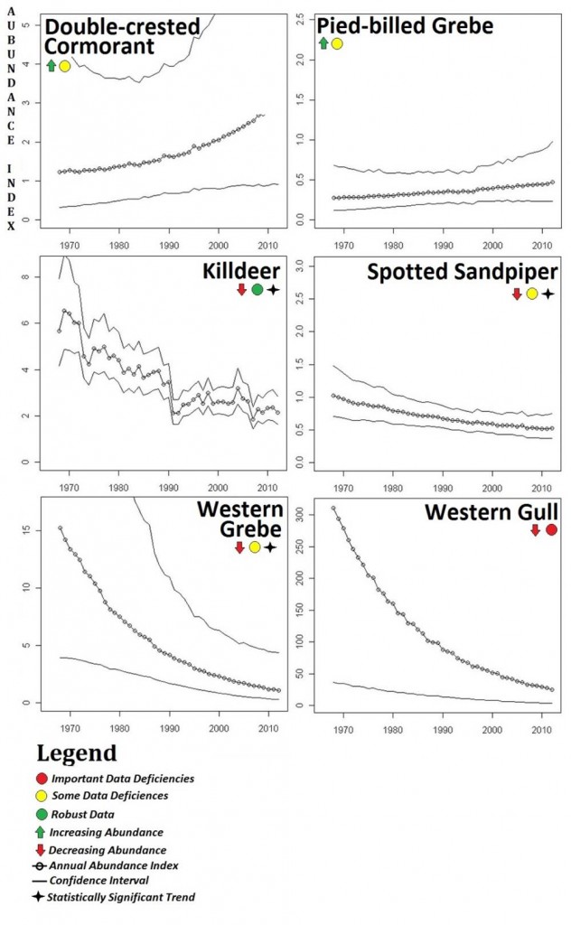 Figure 19. North American Breeding Bird Survey (BBS) data for statewide abundance trends (1966-2012).The BBS data show six seabird and shorebird species exhibiting clear trends over time. The spotted sandpiper (Actitis macularius), western grebe(Aechmophorus occidentalis), and killdeer (Charadrius vociferous) have all shown statistically significant declines in Oregon. No species has shown a statistically significant abundance increase. Data: USGS 2014