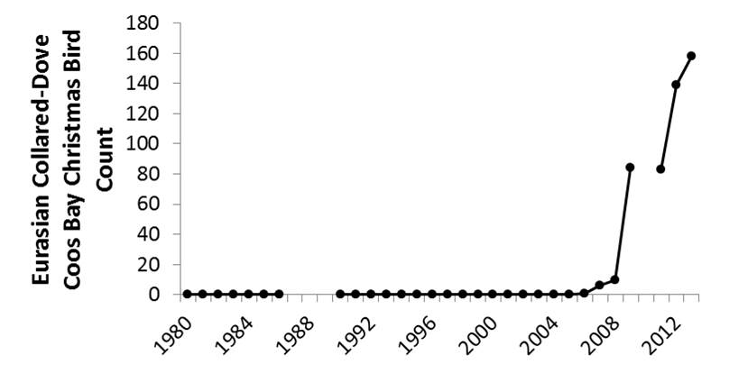 Figure 22. Raw CBC count for Eurasian collared-dove (1980-2013). Data gaps occur during years in which the CBC was not conducted (2010) or not reported (1987-89). Data: Audubon 2014, Rodenkirk 2012 