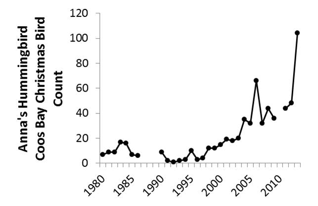 Figure 24. Raw CBC data (1980-2013) suggest that local populations of Anna’s hummingbird may be increasingly abundant. Data gaps occur during years in which the CBC was not conducted (2010) or not reported (1987-89). Data: Audubon 2014, Rodenkirk 2012; Bird Sketch: Csuti et al. 1997