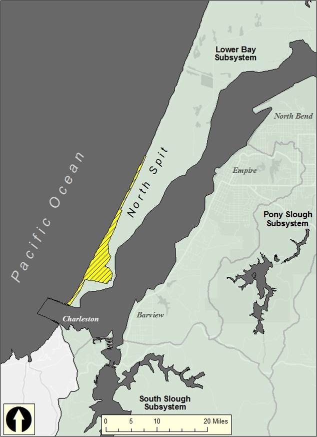 Figure 4. The location of critical snowy plover habitat within the study area. Source: USFWS 2014c