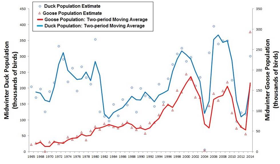 Figure 5.  Trends in midwinter population of ducks (blue) and geese (red) in the Western Oregon Pacific Flyway survey zone (see Figure 3)(1965-2014). Point estimates for midwinter population of ducks (dots) and geese (triangles) are connected by a two-period moving average, which helps expose underlying trends by imposing “smoothness” on the population data. Data: USFWS 2014b