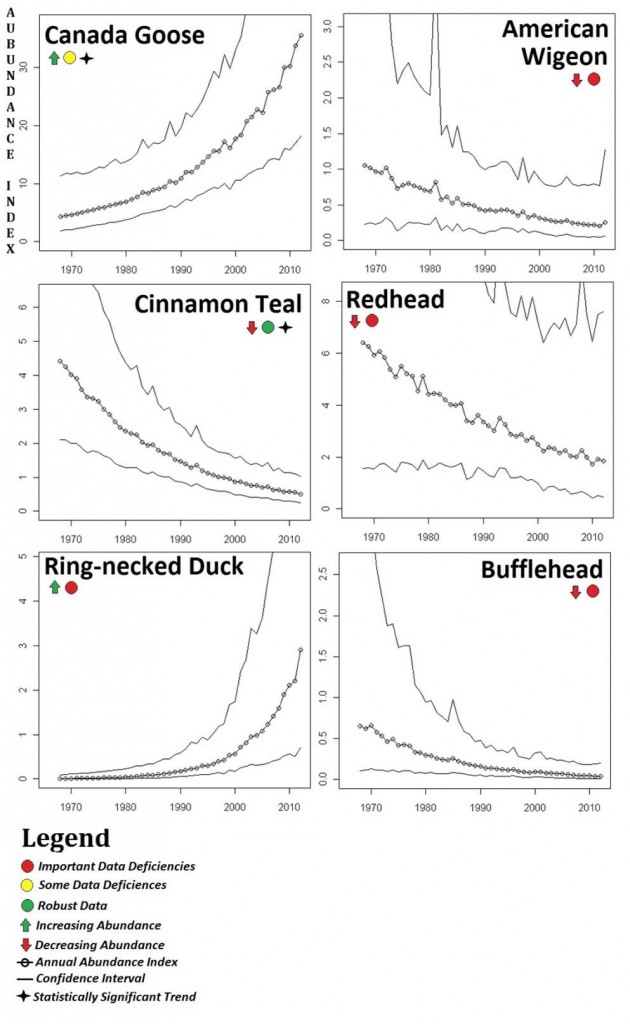 Figure 7. North American Breeding Bird Survey (BBS) data for statewide abundance trends (1966-2012).The BBS data show six waterfowl species exhibiting clear trends over time. The cinnamon teal (Anas cyanoptera) and Canada goose(Branta canadensis) have shown statistically significant increases. The other four birds show clear trends that are not statistically significant. Data: USGS 2014