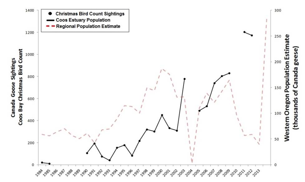 Figure 8. Indicators of Canada goose abundance in the Coos estuary (black) and across western Oregon (red)(1984-2012). Data gaps in CBC data exist for years during which the Count was not conducted (2010) or not reported (1987-89).  Data: Audubon 2014, Rodenkirk 2012, USFWS 2014a; Sketch: Csuti et al. 1997