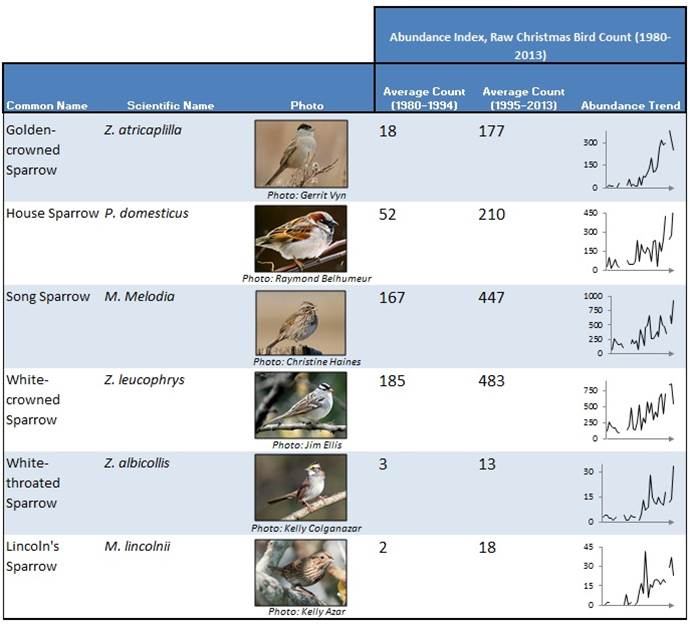 Table 2. Six species of commonly occurring sparrow species have been counted with increasing frequency during the Coos Bay CBC. This table summarizes that trend by comparing average raw CBC count for two time periods (1980-1994 and 1995-2013). Time series graphs (right) showing increasing trends (1980-2013) are also presented. Data: Audubon 2014, Rodenkirk 2012; Photos: Cornell 2014