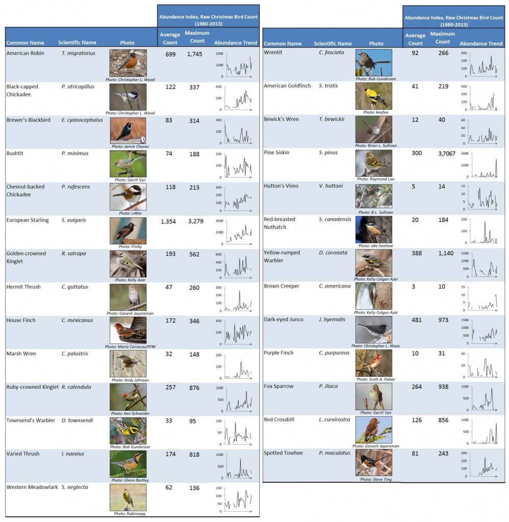 Table 3. Many passerines do not exhibit any clear abundance trends in the lower Coos watershed. This table summarizes raw CBC data for some of the most commonly occurring songbirds in the Coos estuary. Time series graphs (right) showing increasing trends (1980-2013) are also presented. Data: Audubon 2014, Rodenkirk 2012; Photos: Cornell 2014