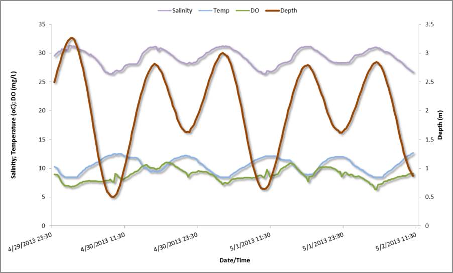 Figure 15. Relationships between water depths (tide levels) and salinity, temperature, and dissolved oxygen at the Charleston SWMP station over the course of 2 consecutive spring days in 2013. Data: SWMP 2014.