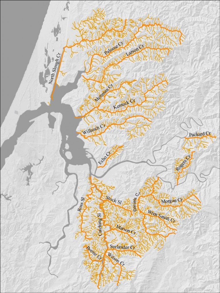 Figure 30. Streams referenced in Coos Watersheds assessment reports. Exact site locations for water temperature measurements were not included in the reports, to protect landowner privacy. 
