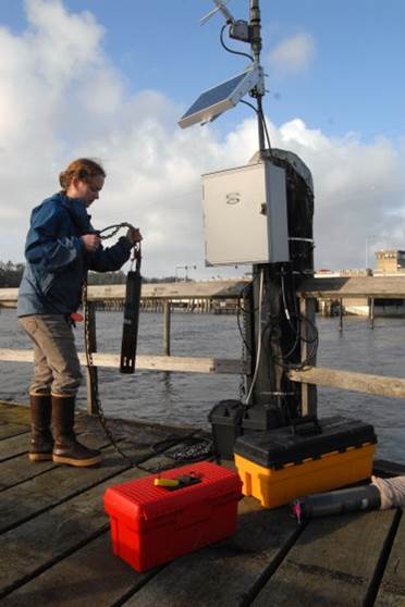 Figure 4. SSNERR staff member deploying a water quality data sonde at the Charleston SWMP station. 