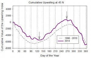 Figure 11. Cumulative upwelling plot for the Pacific Northwest (45oN) in 2014. Upwelling events occur between the days designated by the two arrows (spring transition: early May; fall transition: mid-October). Cumulative upwelling plots add the amount of upwelling (m3/s per 100 m coastline) on day 1 (January 1st) to that of day 2, and so on. Thus, days with upwelling move the curve up while days with downwelling move the curve down. Source: NWFSC 2015. 