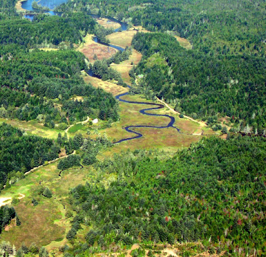 Steep forested hills of the South Slough, wetlands and the expansive tide flats of the Coos River delta typify the variety of habitats found in the lower Coos watershed.
