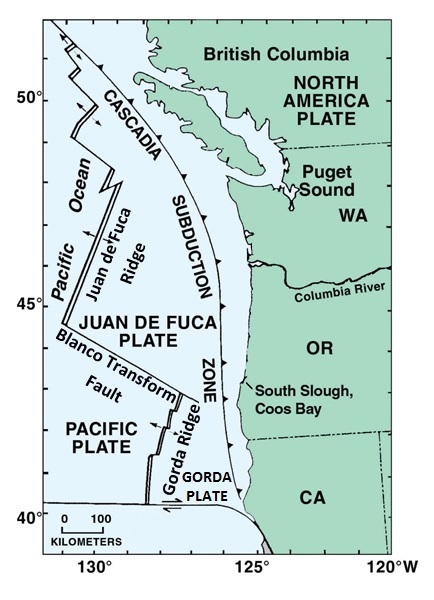 Figure 1: Tectonic components (ridges and plates) in the Pacific Northwest. Arrows on ridges indicate direction of spread. Cascadia Subduction Zone is where the Juan de Fuca Plate is pushed under the North American Plate. Amended from Rumrill 2006