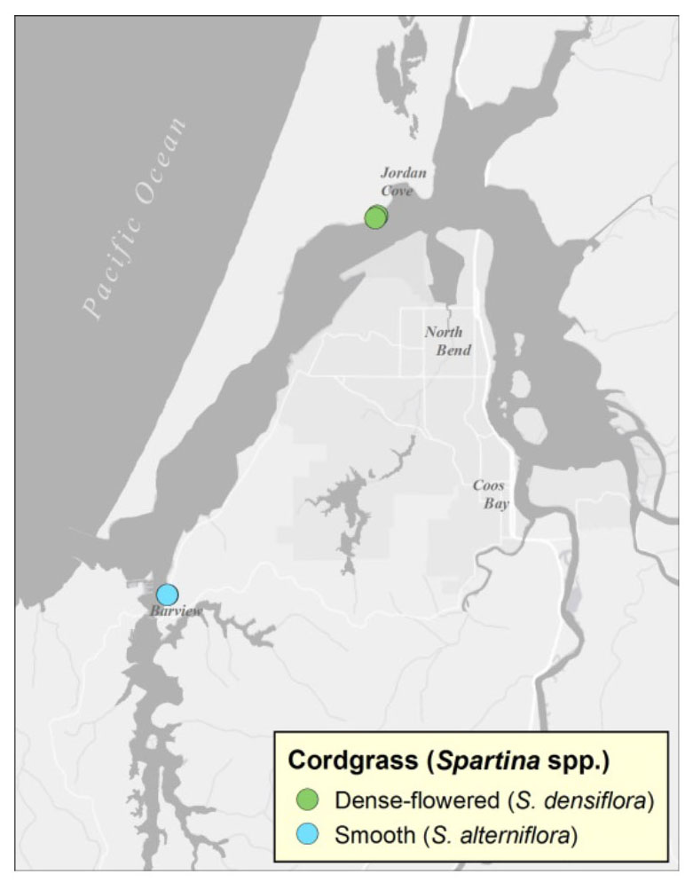 Figure 1: Locations of historic cordgrass infestations in the Coos estuary. All known plants have since been eradicated. Data: SSNERR 2013